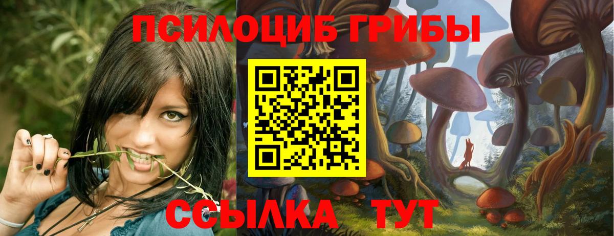 Мариинск  Псилоцибиновые грибы Psilocybine cubensis  Галлюциногенные грибы мицелий  Вход с VPN 
